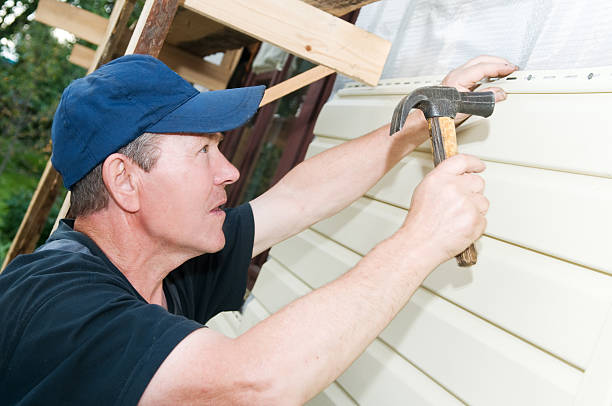 Best Demolition Debris Removal  in Cedar Grove, WI