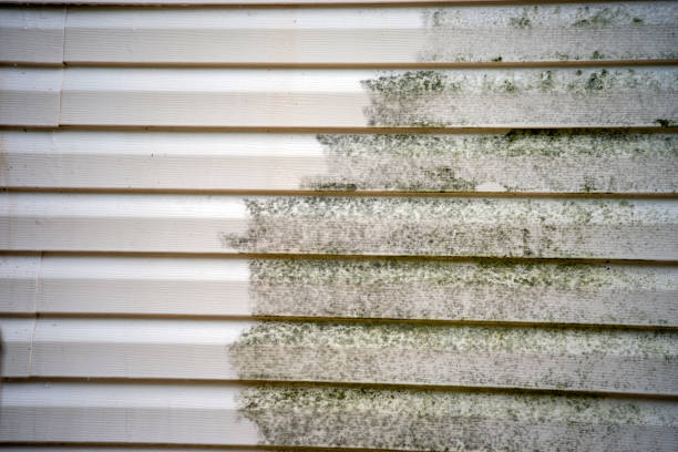 Best Demolition Debris Removal  in Cedar Grove, WI